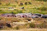 TANZANIA - Serengeti National Park - 021